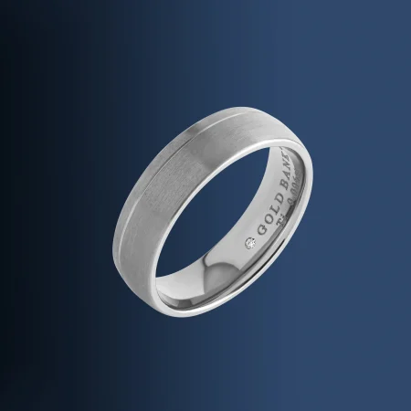 Aurum Edge Titanium Band