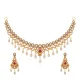 Aranya Gold Necklace Set