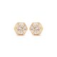 Caelix Studs