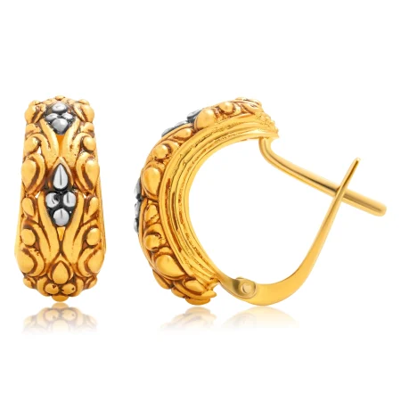 The Aureon Curve Earrings