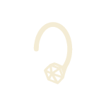 Nose Wear